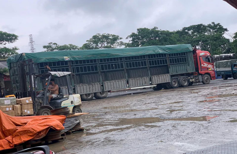 nhà xe gửi hàng Hà Nội Thanh Hóa uy tín 2025