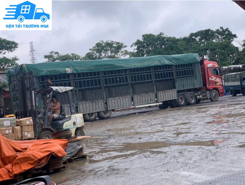 Xe tải vận tải trường nga tại kho Hà Nội